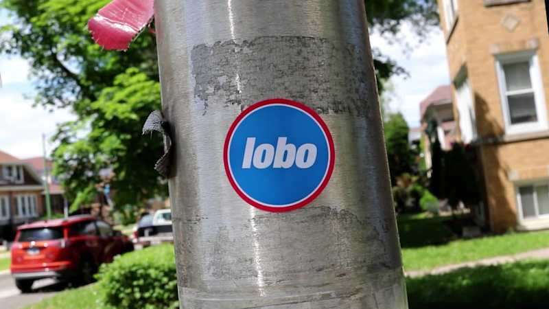 Cover image for Lobo Bold promo video
