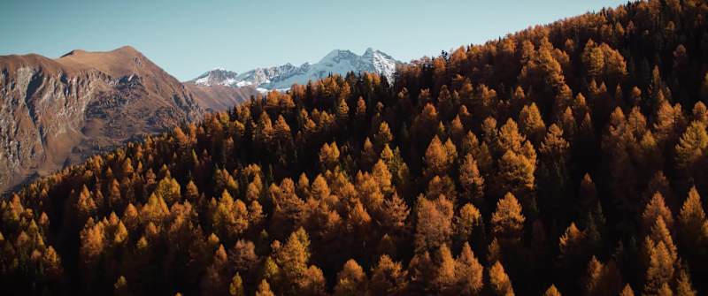 Cover image for Ducati Brand Film