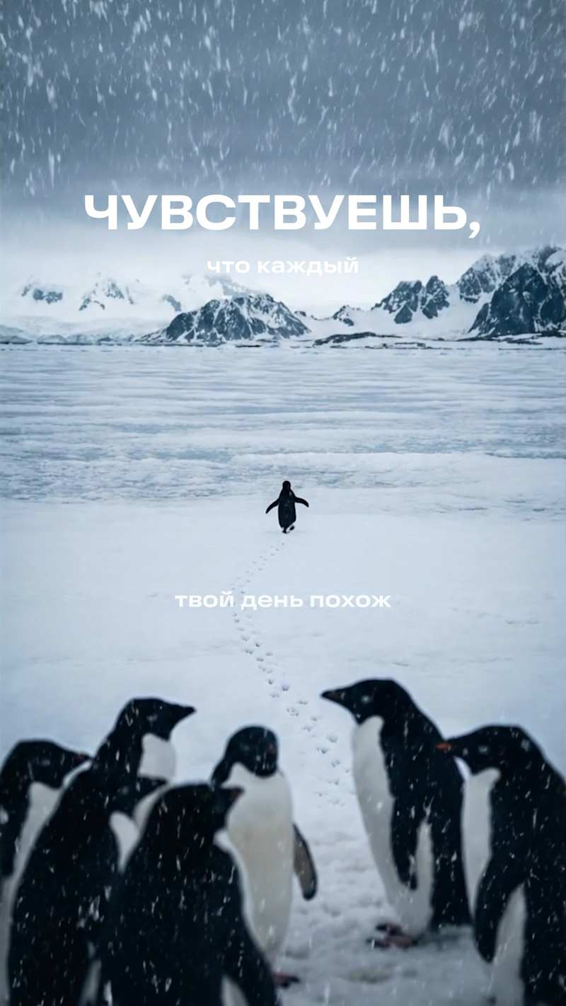 Cover image for I made a video announcement