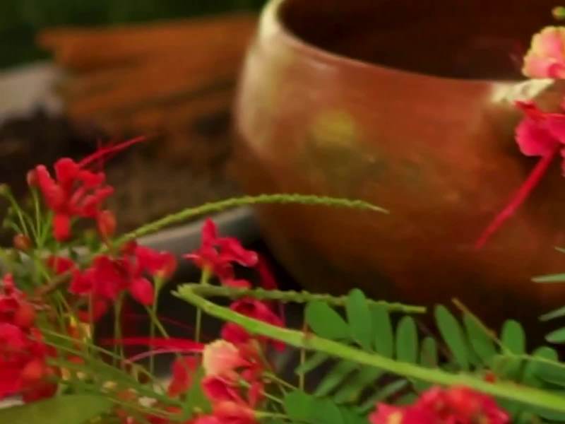Cover image for Spiritual Retreat Promotional Video