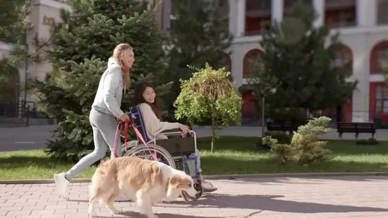 Cover image for "Pleasant Walk in the Park"