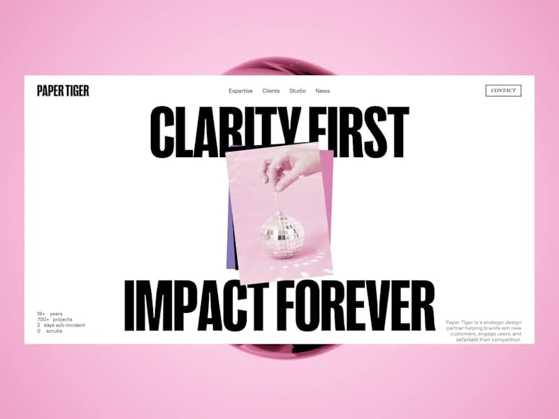 Cover image for Paper Tiger Website Design