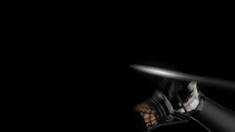 Cover image for 3D animation for Premium Champaigne website