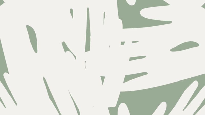 Cover image for WRLP: We are living proof