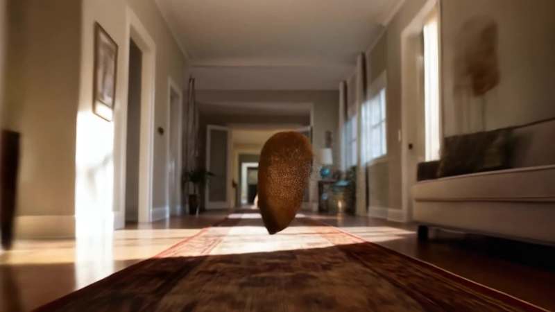 Cover image for AI powered video ad