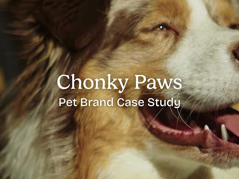 Cover image for Chonky Paws · Brand Identity Case Study