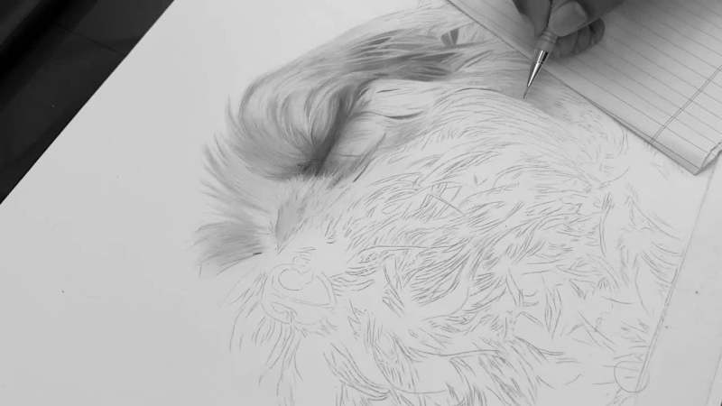 Cover image for Mastering hyperrealism requires observing fine