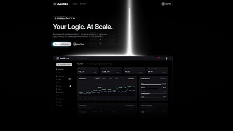Cover image for Zynolabs Website & Positioning