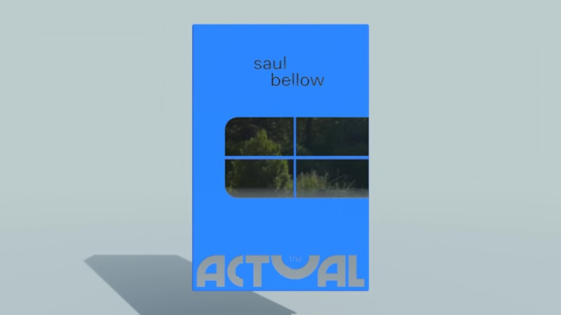 Cover image for using womp3d for some book jacket experimentation