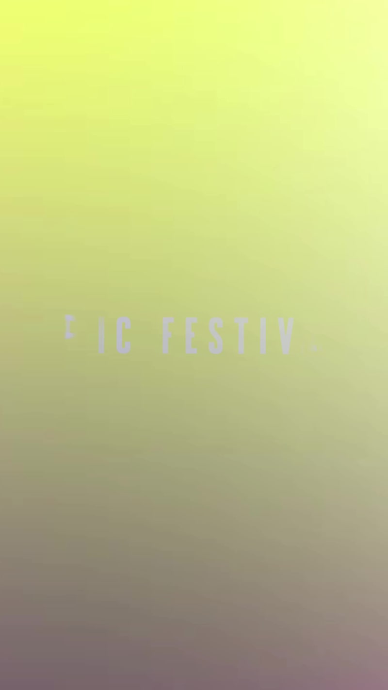 Cover image for A vibrant compilation of moments