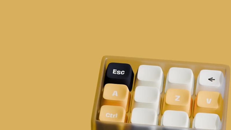 Cover image for A little passion project where