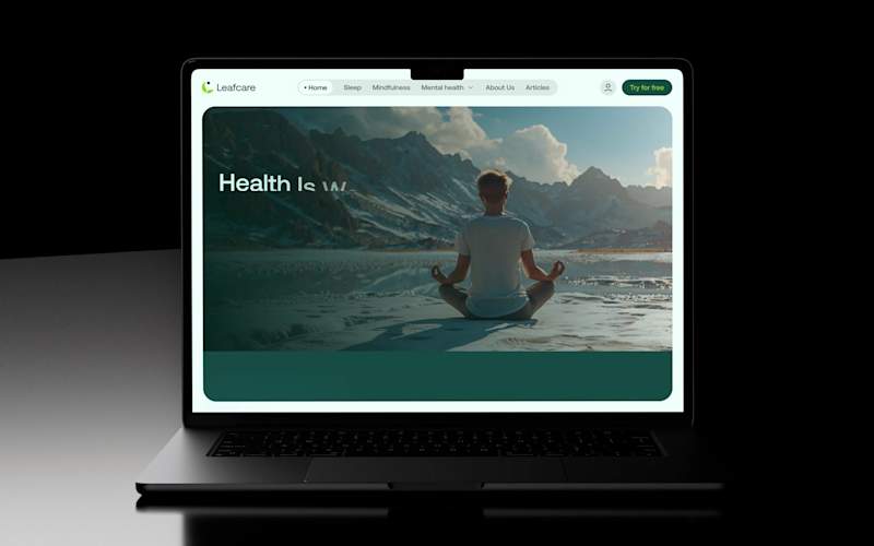 Cover image for Leafcare Mental Health Website Animation Design