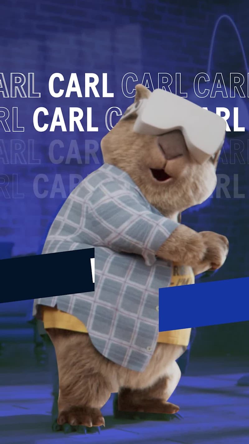 Cover image for Carl the Wombat