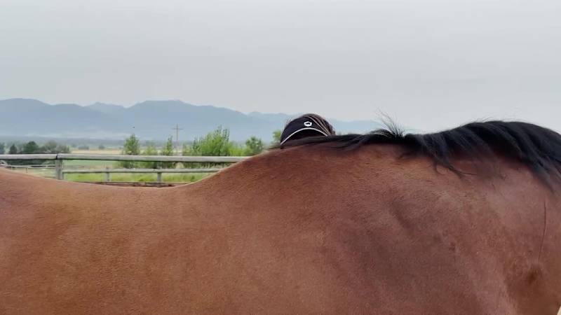 Cover image for We shot an interview for Mastery Horsemanship a while back a...