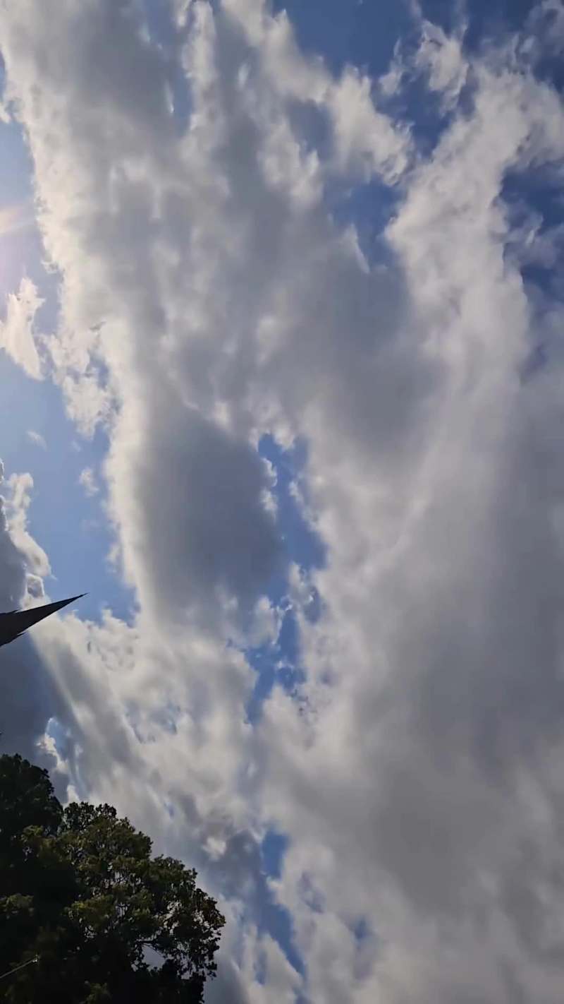 Cover image for Narrative Nature-Based Storytelling Video for Instagram