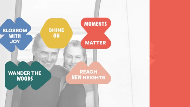 Cover image for Pack2Go Brand Identity