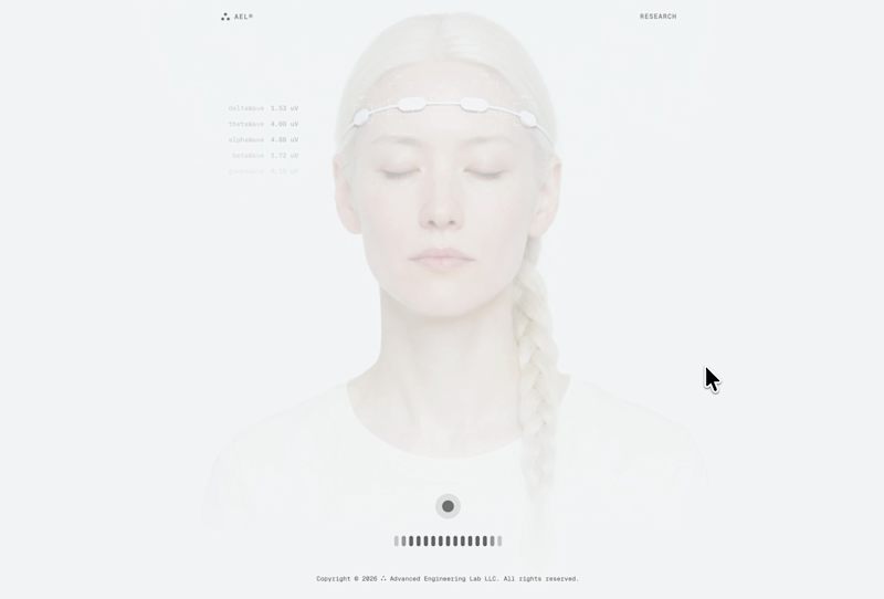 Cover image for Built a custom EEG neural