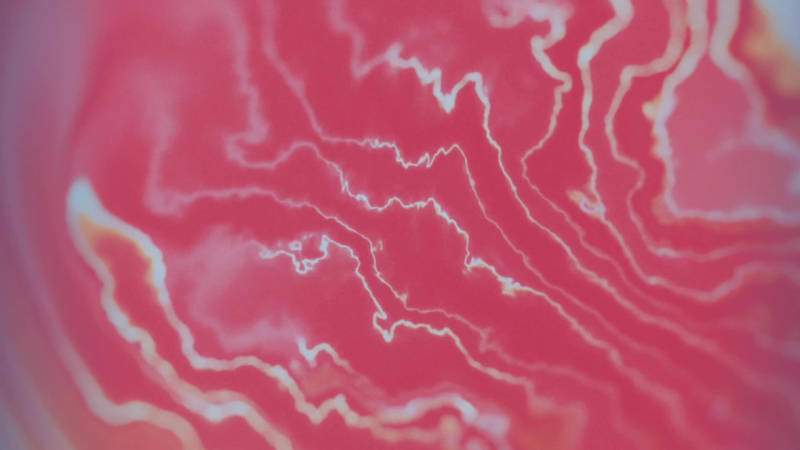 Cover image for Interactive BG (check fullsize (https://www.unicorn.studio/e...