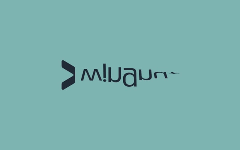 Cover image for Wingnut • Logo Animation (Lottie)