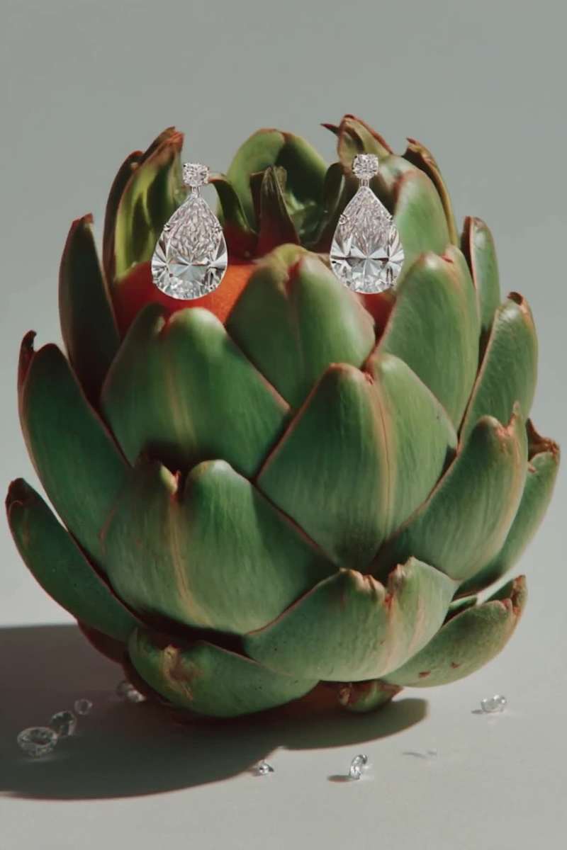 Cover image for Veg X Diamond Earrings 