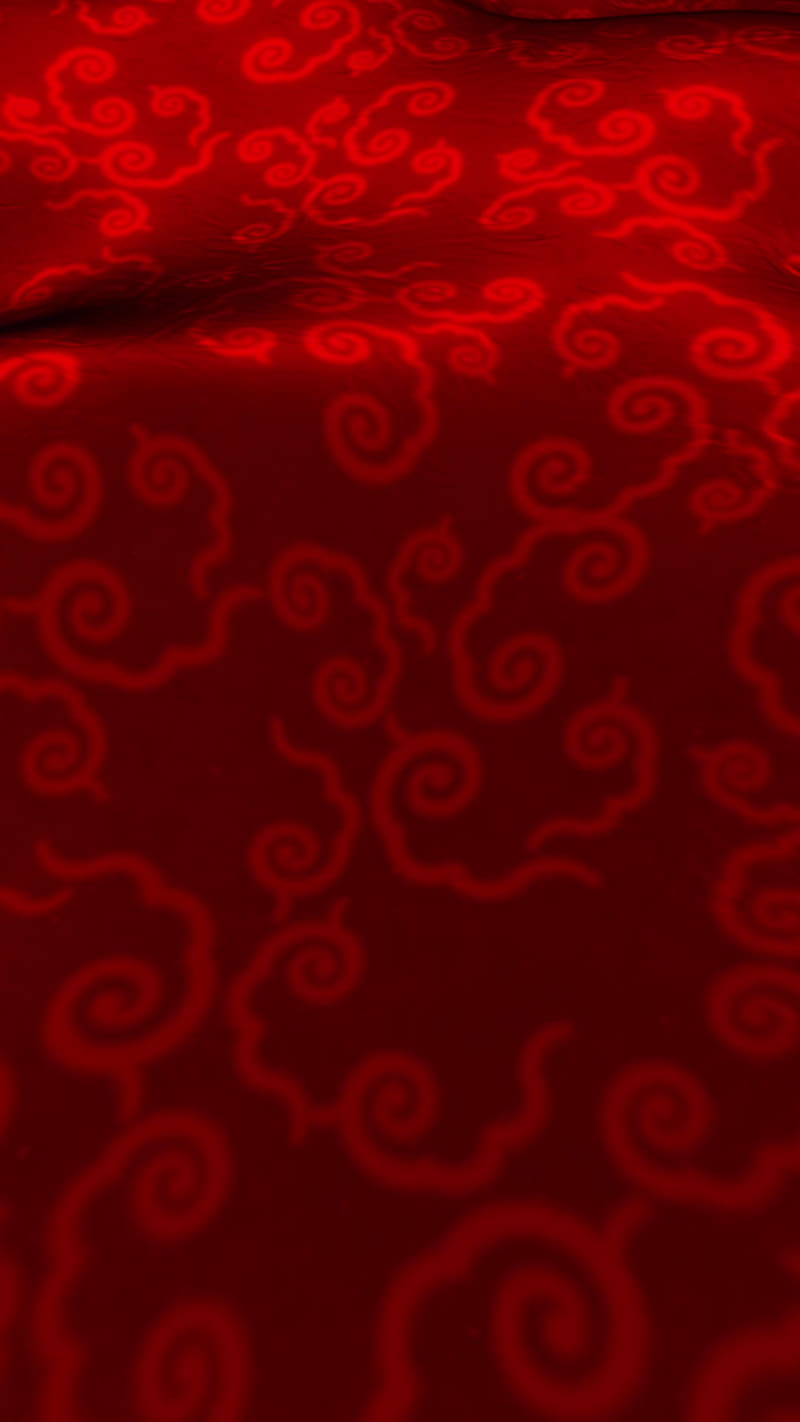 Cover image for Experimenting on a little silky,