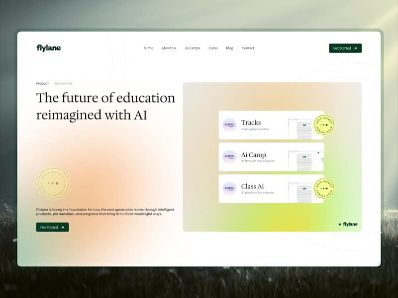 Cover image for Flylane AI Education SaaS Website Design