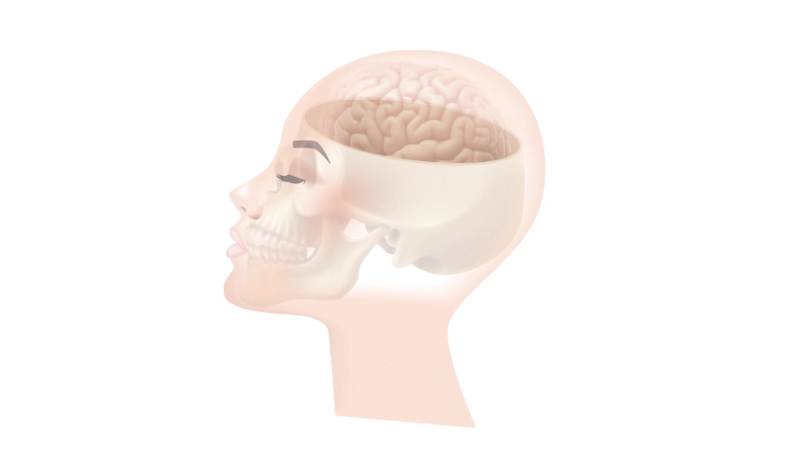 Cover image for Animation demonstrating the structure of