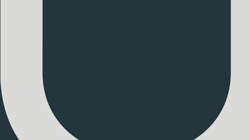 Cover image for RINU - A Modern Brand for Longevity and Renewal