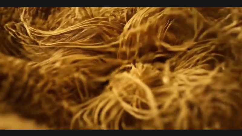 Cover image for AI Generated Video Ads for