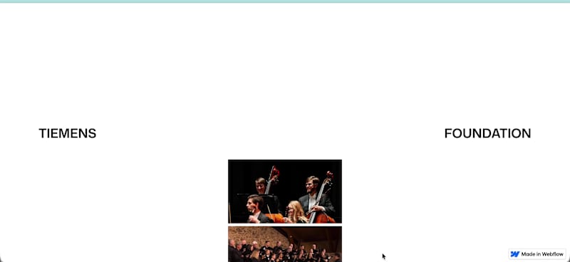 Cover image for Just launched the "Tiemens Foundation