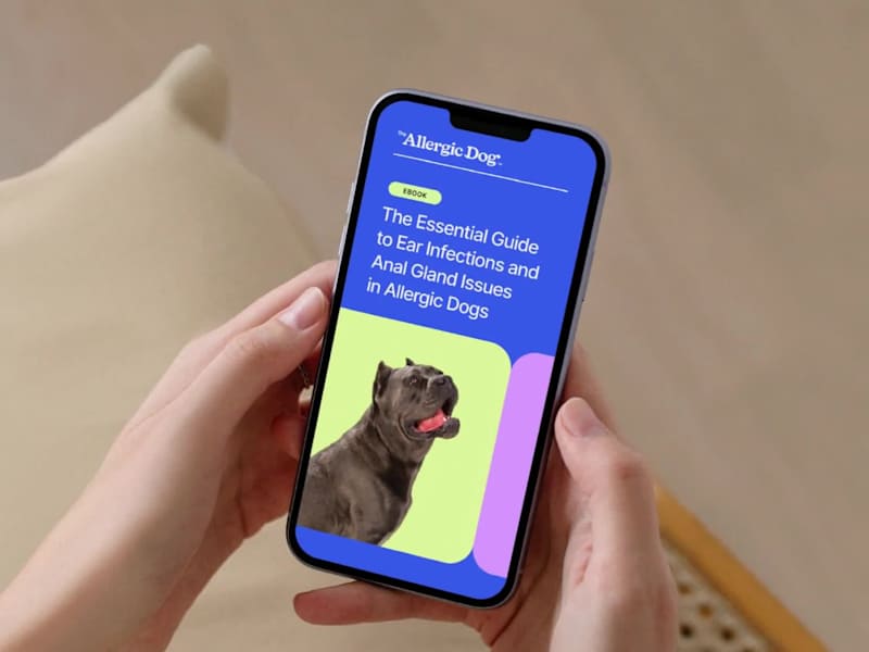 Cover image for The Allergic Dog | Branding + Kajabi Website Design