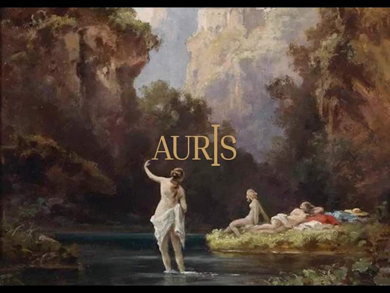 Cover image for Auris Brand Identity Development