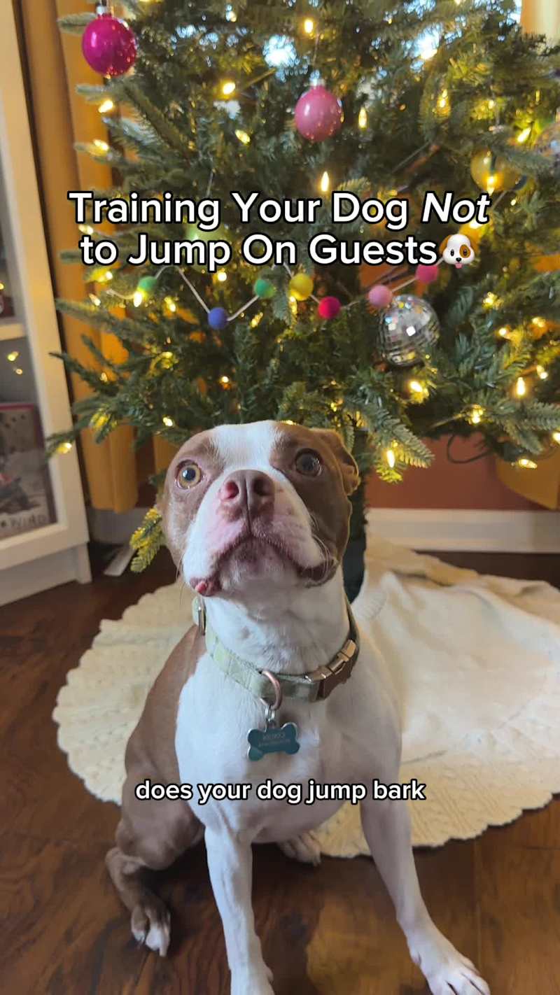 Cover image for Since December 2024, I have been a content creator (retainer...