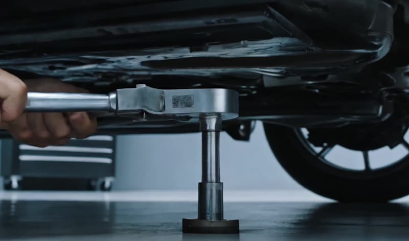 Cover image for Animated brand identity for an