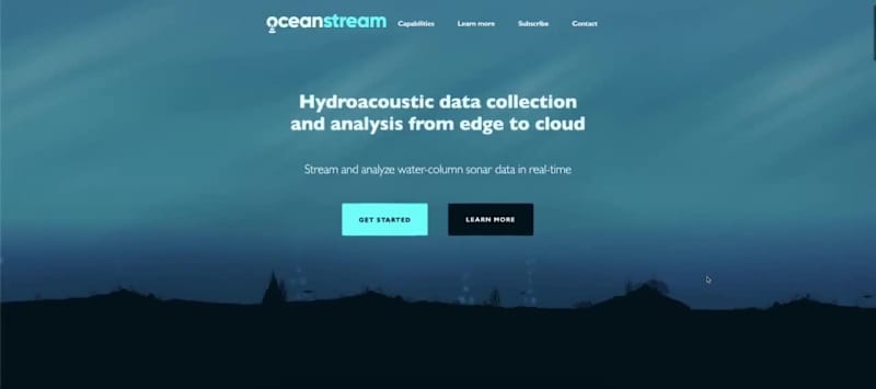 Cover image for Oceanstream Website