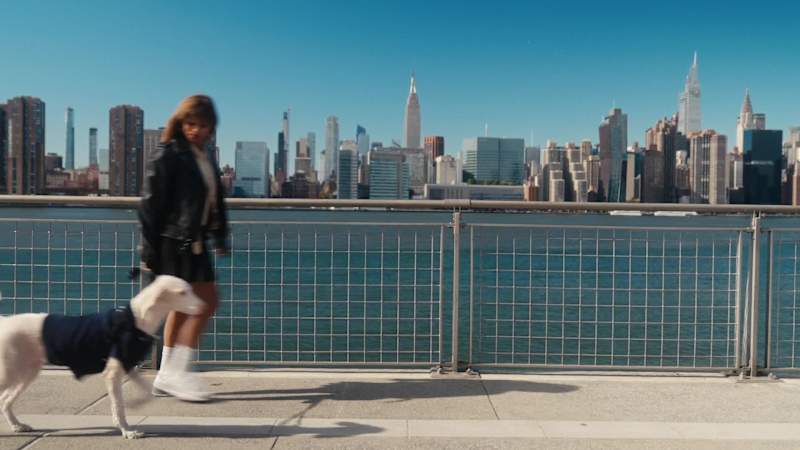 Cover image for New Balance x Tanya
