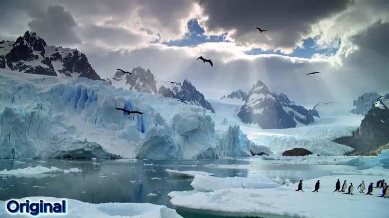 Cover image for Nature at it fullest