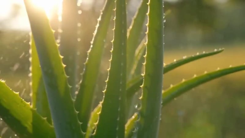 Cover image for Transforming Product Images Into Powerful