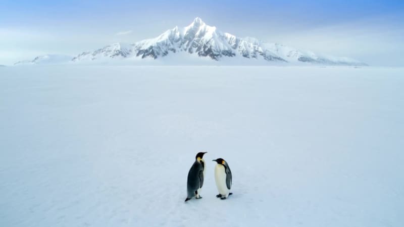 Cover image for Liquid Death ad
Continuing the story.