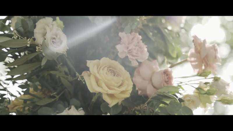 Cover image for Wedding Videography and Editing