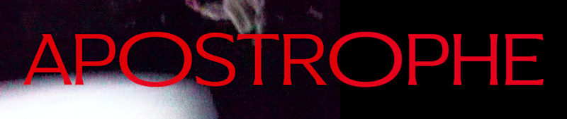 Cover image for Hello Contra✨,
Towards the end of