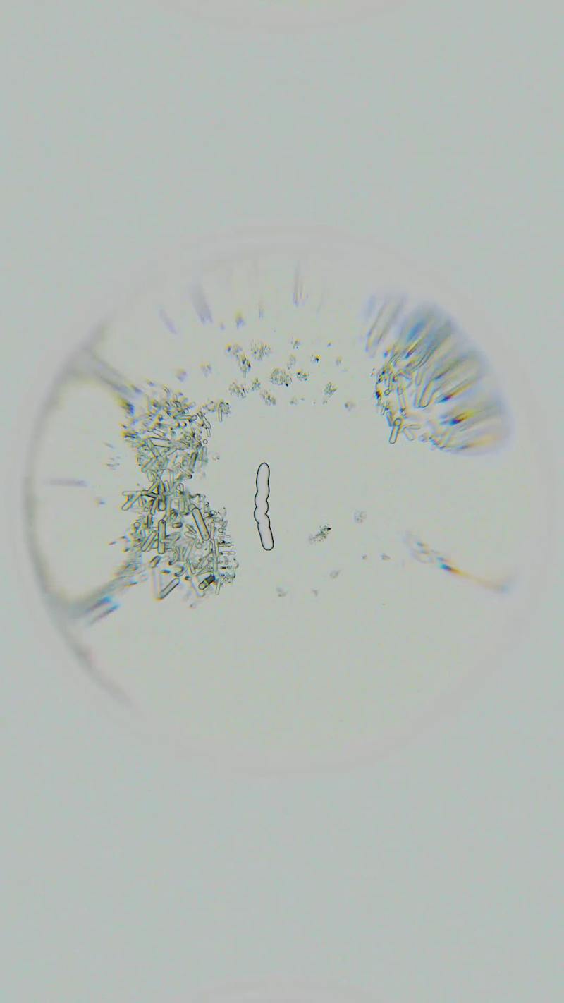 Cover image for Microscopic Entropy