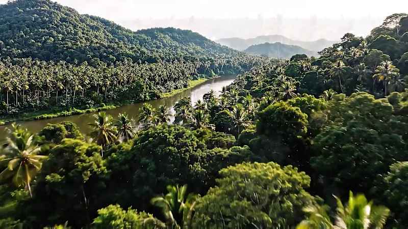 Cover image for A spec ad for Malabar