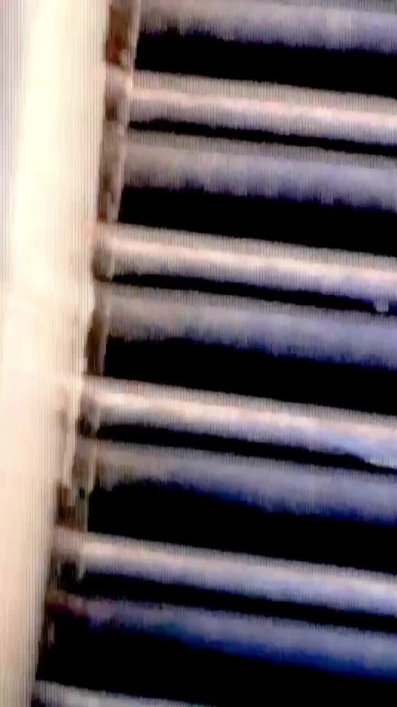 Cover image for Graphics and Art Direction. Socials