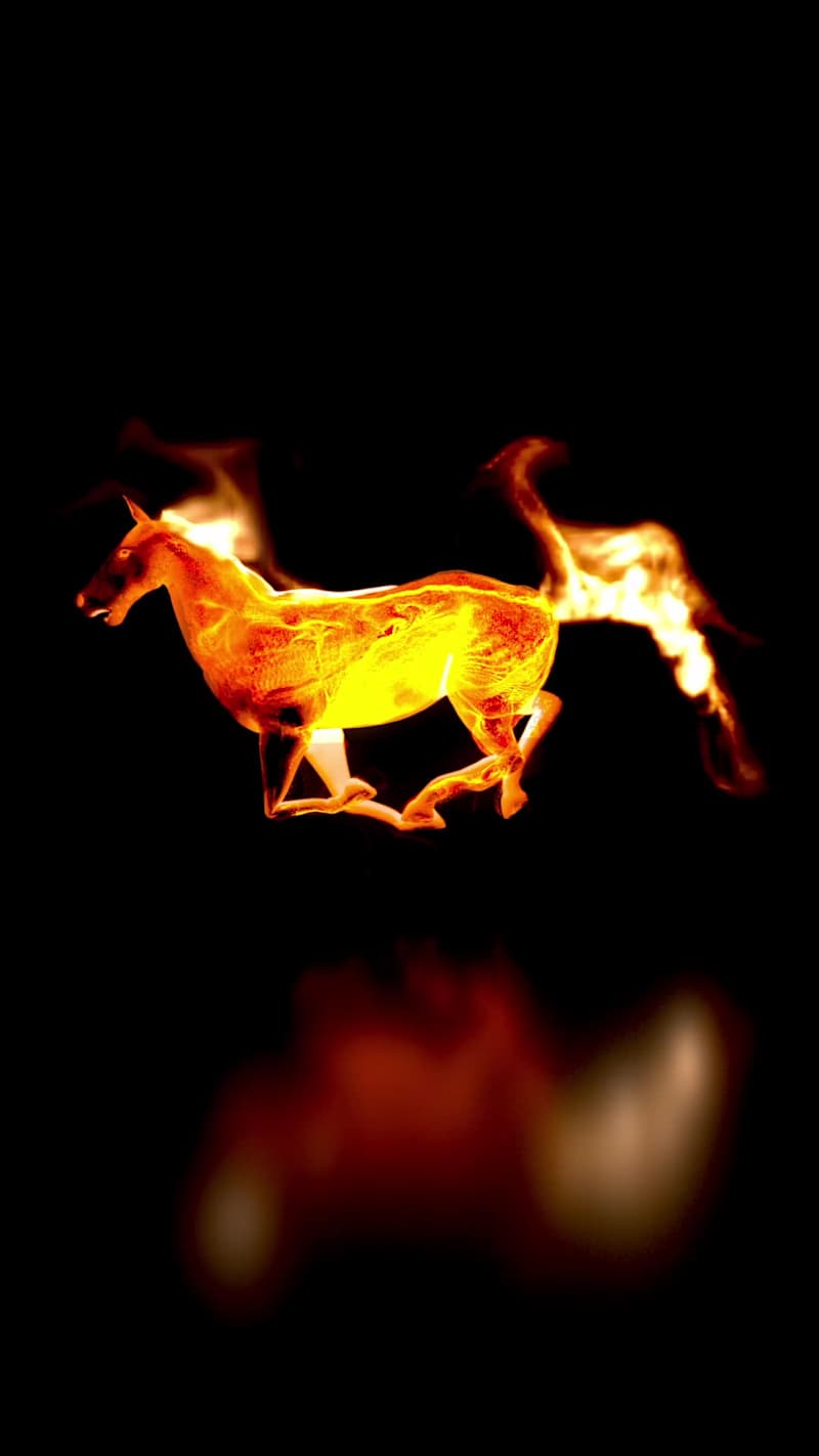 Cover image for The Lunar New Year