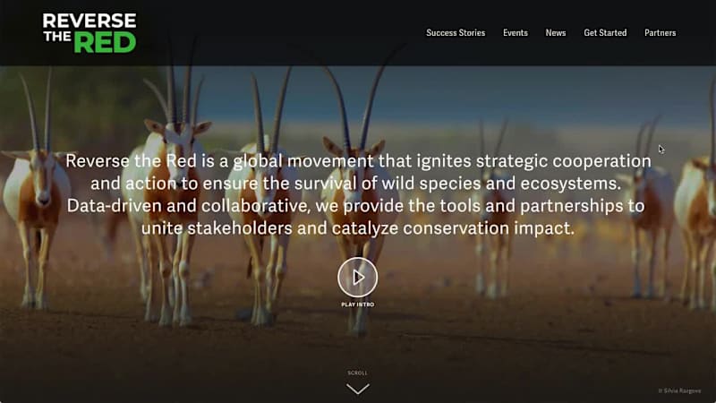 Cover image for Reverse the Red
Data-driven and propelled