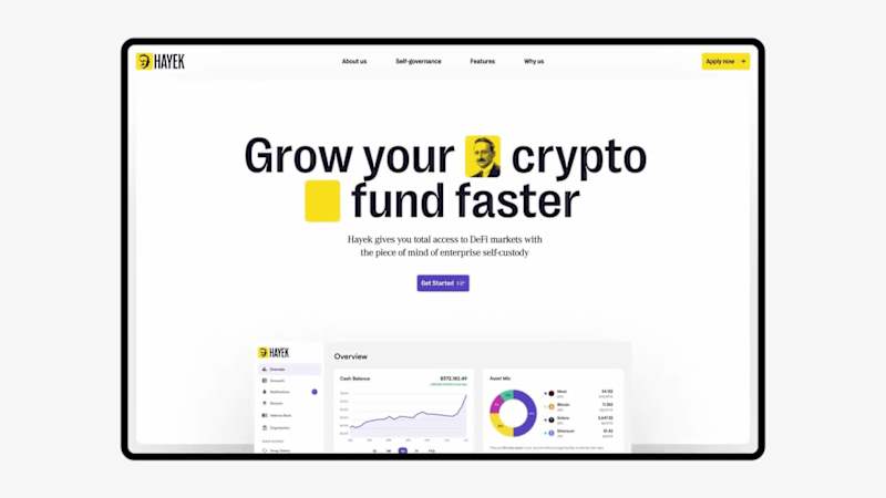 Cover image for Website and Brand Identity For Hayek Finance