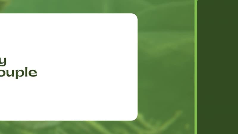 Cover image for Fish by the Couple Brand Design I created a warm, modern ide...