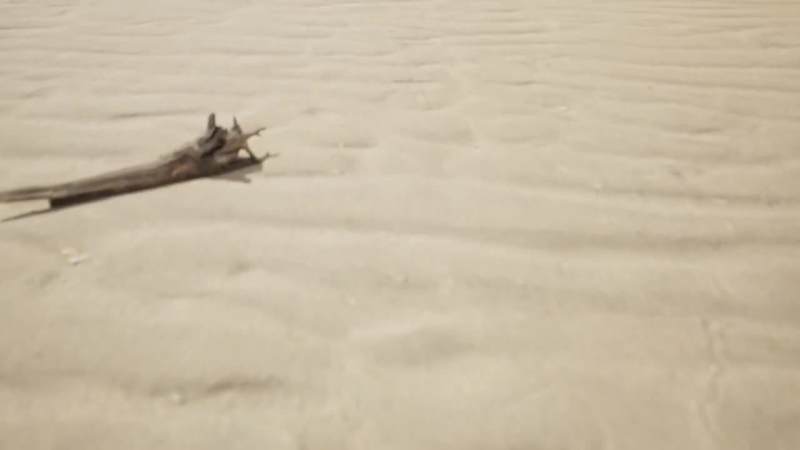 Cover image for Nifty Island in 2045 (FANMADE)