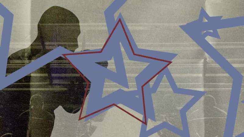 Cover image for Sucker Punch